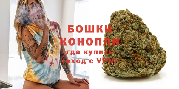ГАЛЛЮЦИНОГЕННЫЕ ГРИБЫ Устюжна