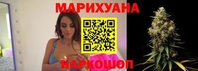 сатива Гусев