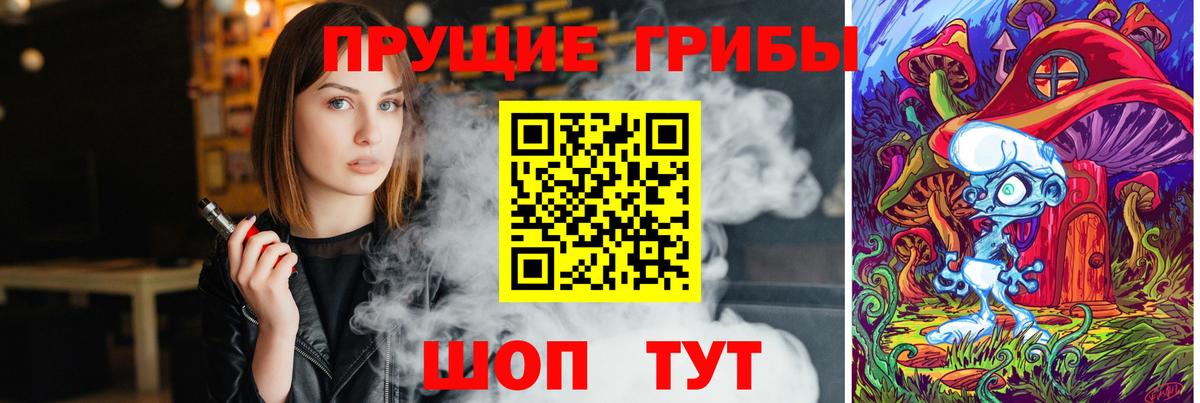 Саранск  Галлюциногенные грибы Psilocybine cubensis  Вход с VPN 