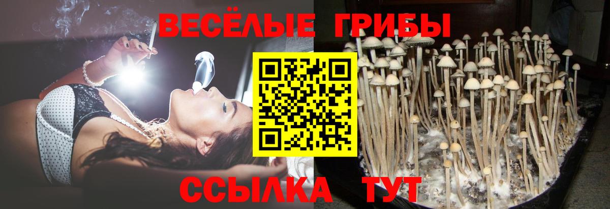 Галлюциногенные грибы GOLDEN TEACHER Саранск